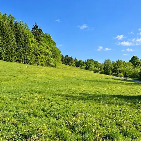 Smart B&b1 Bb1 127 Winterberg